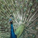 강호 합기도 이미지