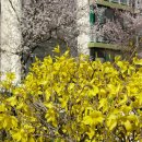 천북의원 이미지