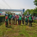 철로변녹지대 이미지