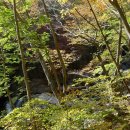 피아골(기산) 이미지