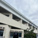 (주)당진대일해운관광 | [통영,욕지도] 통영여객선터미널 욕지도행 차끌고 배 타고 가기 (대일해운,아일랜드호)