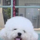 예쁘개해줄개 이미지