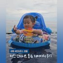 파인 오토 | 강릉 세인트존스 호텔 파인 인피니트 수영장 &amp; 해피아워 (feat. 21개월 아기랑)