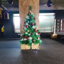 천안 스타복싱짐 이미지