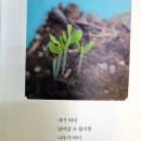 김영빈 «Pause»; 이미지의 다성악 ㅡ 반어, 풍자, 유희 이미지