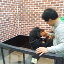 닥터 아이펫 동물병원 이미지