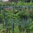 (주)스타월드코리아 | [2026] 07월 셋째 주 일상 브랜치🌿