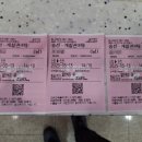 소청여행사