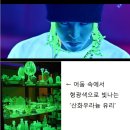 태양무도장 이미지