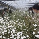 김제농장 이미지