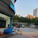 매머드익스프레스 세종대점 티스토리