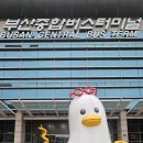 송도버스 주식회사 | 부산 여행의 시작과 끝, 부산종합버스터미널 완전 정복! (고속버스/시외버스 시간표, 목적지, 지하철역)