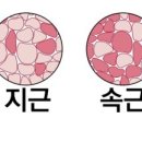 비타민휘트니스14호점 이미지