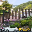 사랑나무유치원 이미지