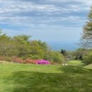 TOP GOLF클럽 이미지