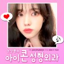 아이콘성형외과의원 이미지