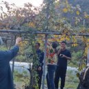 샘말 농장 이미지