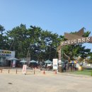 서해안오토 | 서해안 오토캠핑장 몽산포 해수욕장 해루질 체험 후기