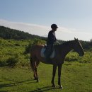 아라목장 이미지