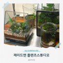 송림장 - 춘천시 중앙로 162 | 부산 이색데이트 추천 제이드앤 플랜츠스튜디오 테라리움 만들기 원데이 클래스