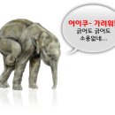 코코실버(주) 이미지