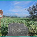 유등연지 이미지