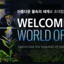 수족관남국상사