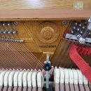 구지초등학교 이미지