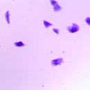 청라호수동물메디컬센터 이미지