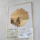 태양해물