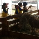 명주초병설유치원 이미지