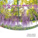 내장농장 이미지