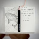 오마틸라 이미지