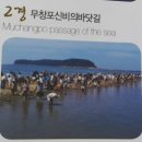 보령여행.보령8경사진여행 떠나요^^