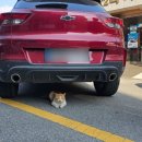 부강2리마을회관 이미지