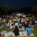 우포늪 광장 이미지