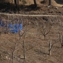 김석규 농장 이미지