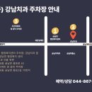 강남세종치과의원 이미지