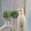 볼로PC | 향좋은바디워시추천 미다 라이스 밀크 바디워시 사용후기