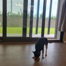 스테이숨 이미지