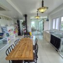 김제강아지 이미지