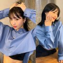 개미머리