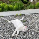 수안채 | 여름방학 일기: 남양주 촌캉스 | 수안채 펜션 후기