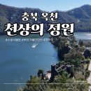 천상의 나무 | 충북 옥천 천상의정원 수생식물원 아이랑 평일 방문 후기