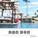 하와이비치 | [하와이 신혼여행 후기] Chapter1. 마우이 와일레아 비치 리조트.