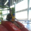 경산워터피아 이미지