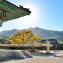 풍암제길 이미지