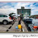 둔내농장 | 강릉 안목 해변과 커피거리, 가볼 만한곳 동해의 감성을 담은 바다 여행 하루 코스 여행후기