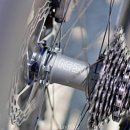 롤로(Rollo) 이미지