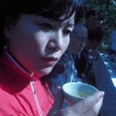 운곡허브 Daum카페